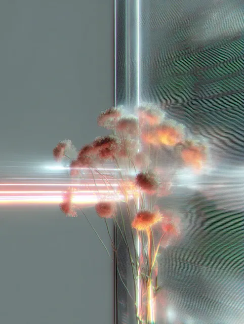 Dried pink flowers behind a pane of glass streaked with light